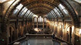 interior of the history department building