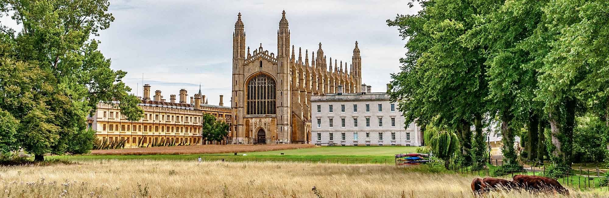  photo of the university from the park side